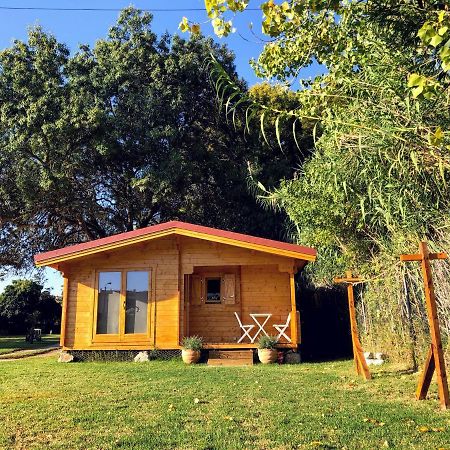 Villa Woodhouse São Pedro do Estoril Exterior foto
